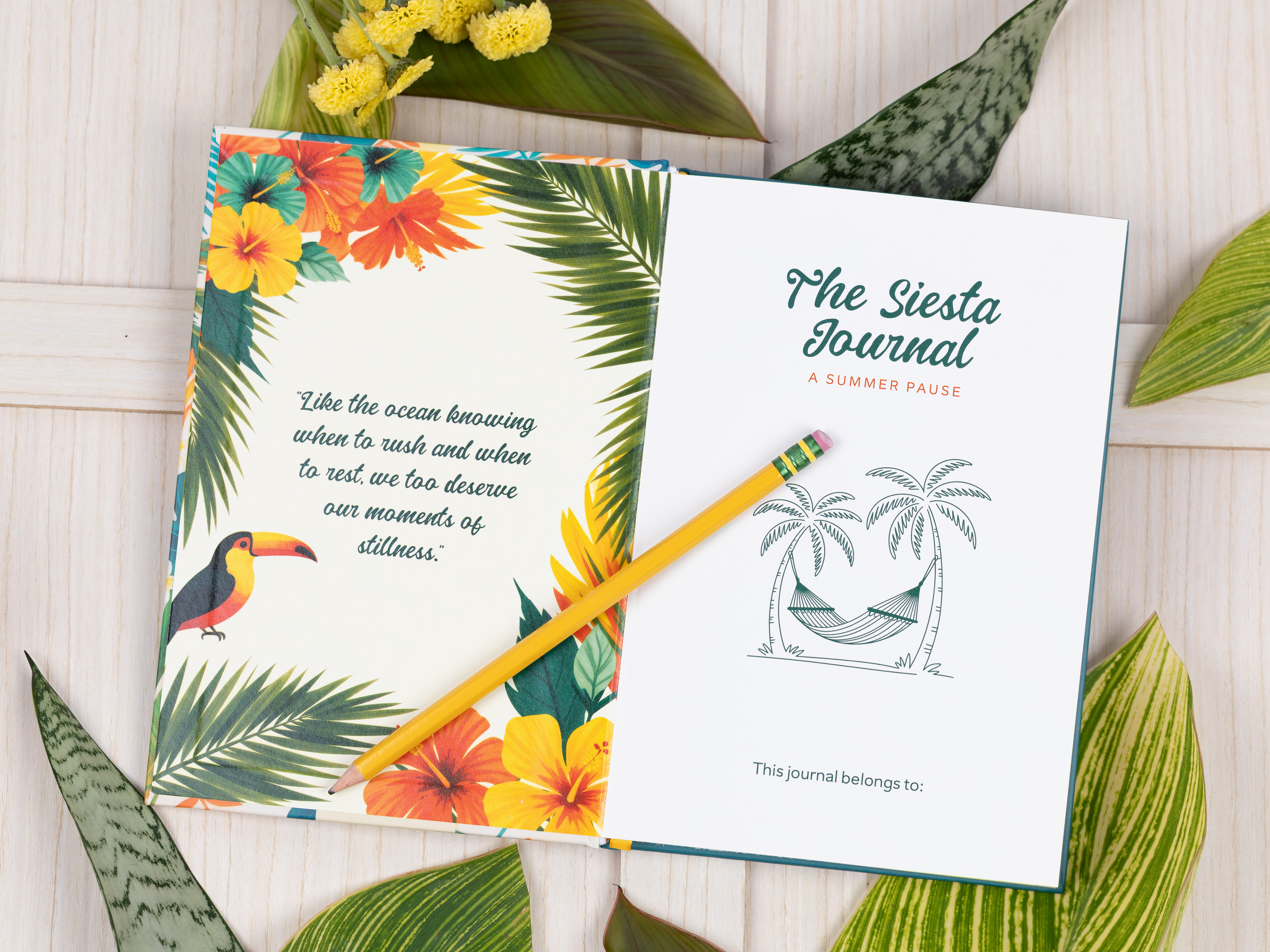 The Siesta Journal: A Summer Pause